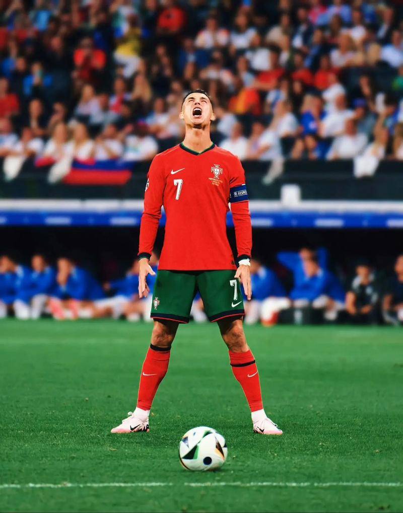 这些案例表 这些案例表