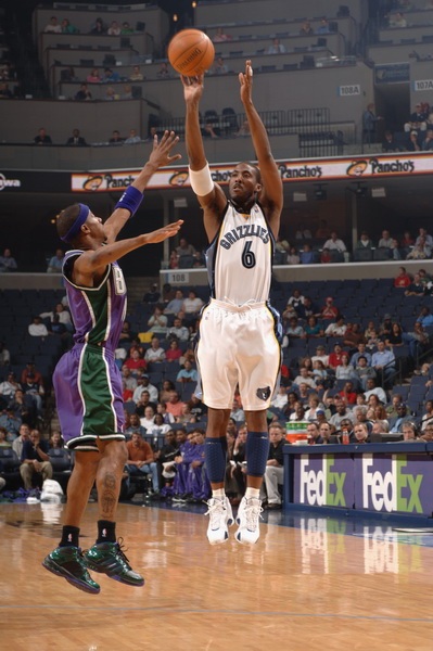 仅展示了梅 仅展示了梅