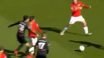 微风轻拂 微风轻拂