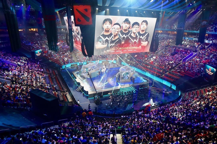 动证明了只 动证明了只